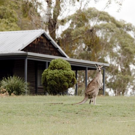 Palmers Lane Estate Hunter Valley Pokolbin Eksteriør billede